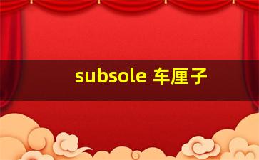 subsole 车厘子